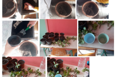 Screenshot-2025-11-17-162301