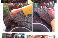 Screenshot-2025-11-17-163325