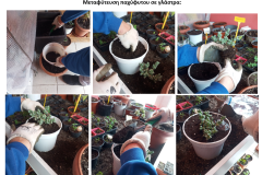 Screenshot-2025-11-17-171421